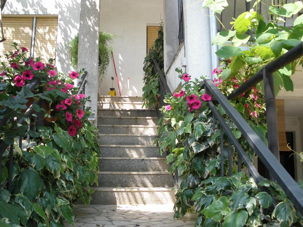 Apartments Timi Poreč Eksteriør billede